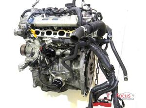 P20507547 Motor ohne Anbauteile (Benzin) NISSAN Juke (F15) 397005R