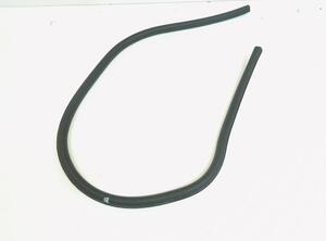 Door Seal AUDI A5 (8T3)