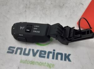 Cruise Control Switch DS DS3 Crossback (UC, UJ, UR)