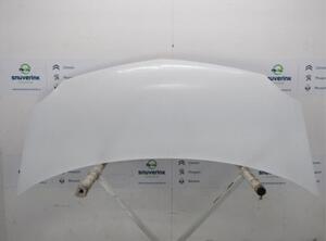 Bonnet RENAULT Kangoo Express (FW0/1), RENAULT Kangoo/Grand Kangoo (KW0/1)