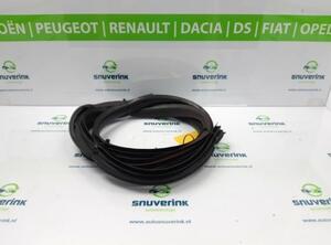 Door Seal RENAULT Twingo II (CN0)