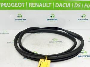 Door Seal RENAULT Arkana I (LCM_)