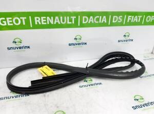 P19245632 Türgummi links vorne RENAULT Twingo III (BCM) 808323410R