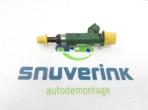 Injector Nozzle RENAULT Clio V (BF)