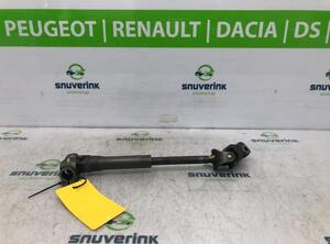 P18735594 Lenksäule RENAULT Scenic III (JZ) 488201454R