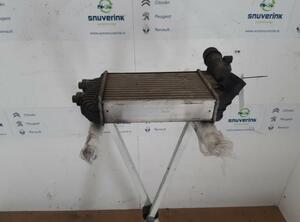 Intercooler FIAT Ducato Pritsche/Fahrgestell (230)