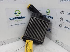 Intercooler RENAULT Twingo II (CN0)