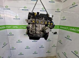 P2949412 Motor ohne Anbauteile (Diesel) PEUGEOT 206 Schrägheck