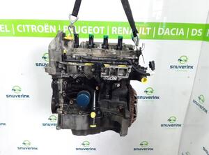 P17403039 Motor ohne Anbauteile (Benzin) RENAULT Scenic III (JZ) 7701479078