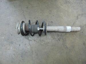 Suspension Strut BMW 5 Touring (E61)