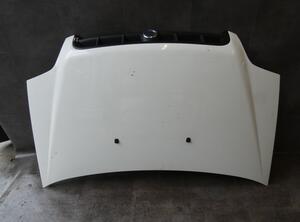 Motorkap FIAT Doblo Großraumlimousine (119, 223)