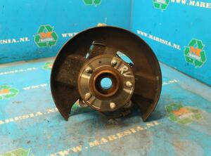 Stub Axle OPEL Insignia A (G09)