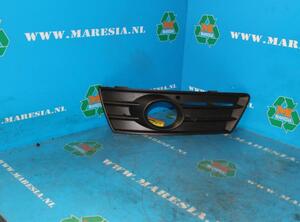 Radiator Grille VW CC (358), VW Passat CC (357)