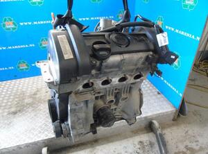 P18719102 Motor ohne Anbauteile (Benzin) SEAT Ibiza IV SportCoupe (6J)