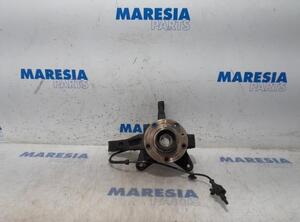 Stub Axle RENAULT Kangoo Express (FW0/1)