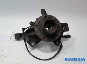 Stub Axle RENAULT Megane III Coupe (DZ0/1)