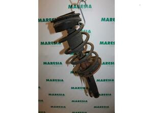 Suspension Strut RENAULT Megane II (BM0/1, CM0/1), RENAULT Megane II Stufenheck (LM0/1)