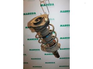 Suspension Strut RENAULT Megane II (BM0/1, CM0/1)