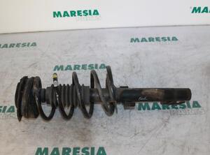 Suspension Strut RENAULT Scénic II (JM0/1), RENAULT Grand Scénic II (JM0/1)