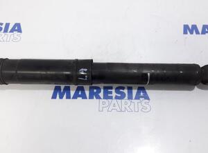 Shock Absorber RENAULT Master III Kasten (FV)