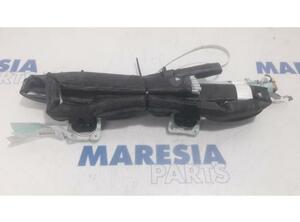 00519255780 Airbag Dach rechts FIAT Panda (312, 319) P14423369