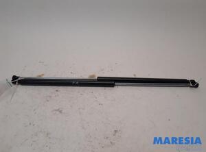 Bootlid (Tailgate) Gas Strut Spring PEUGEOT 207 CC (WD)