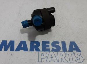 144B00004R Wasserpumpe RENAULT Scenic III (JZ) P15584565