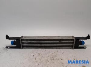 Intercooler FIAT Grande Punto (199), FIAT Punto (199), FIAT Punto Evo (199)