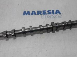 Camshaft RENAULT Scénic II (JM0/1)