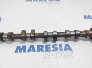 Camshaft PEUGEOT 206 Schrägheck (2A/C)