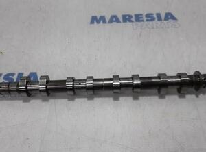 Camshaft RENAULT Grand Scénic II (JM0/1), RENAULT Scénic II (JM0/1)