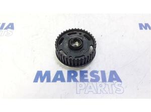 743272 Zahnrad für Nockenwelle RENAULT Megane II (M) P13317642