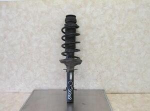 Suspension Strut VW Golf IV (1J1)