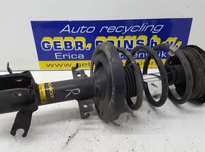 Suspension Strut RENAULT Megane III Coupe (DZ0/1)