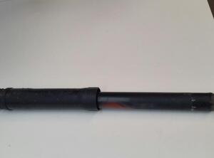Shock Absorber TOYOTA Prius (W3)