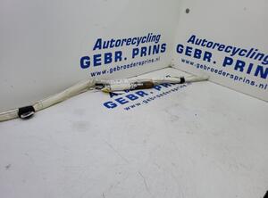 P19220951 Airbag Dach links BMW 3er (F30, F80) 7221045
