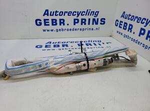 P19496586 Airbag Dach links BMW 5er Touring (F11) 84914341906