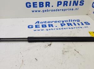 Bootlid (Tailgate) Gas Strut Spring FORD Kuga II (DM2), FORD Kuga I (--), FORD C-Max (DM2), FORD Focus C-Max (--)