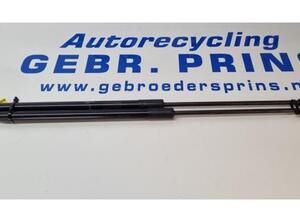 Bootlid (Tailgate) Gas Strut Spring TOYOTA Aygo (B4), TOYOTA Aygo (KGB4, PAB4)