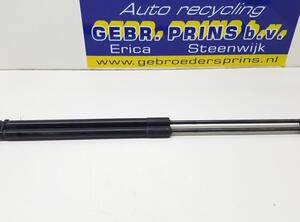 Bootlid (Tailgate) Gas Strut Spring FORD Focus III (--)
