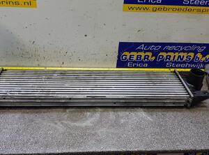 Intercooler RENAULT Master II Kasten (FD)