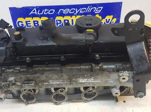 Cylinder Head RENAULT Twingo II (CN0)