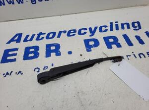 Wiper Arm FORD Ecosport (--)