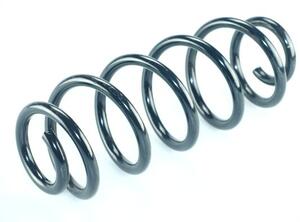 Coil Spring SUZUKI SX4 (EY, GY)