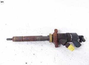 Injector Nozzle FORD C-Max (DM2)