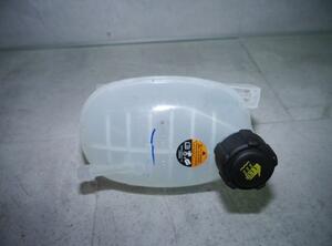 Behälter Kühlwasser  NISSAN JUKE (F16) DIG-T 117 86 KW