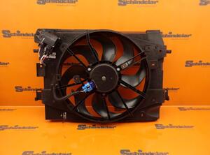 Radiator Electric Fan  Motor DACIA Sandero II (--)