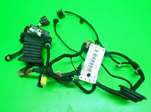 Wiring Harness VW Passat (3C2)