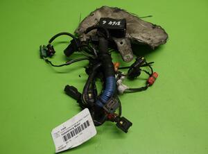Wiring Harness FORD Transit Connect (P65, P70, P80)