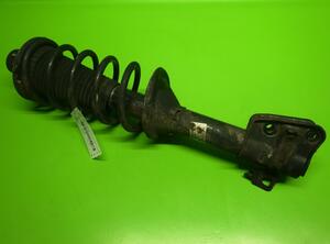 Suspension Strut LAND ROVER Freelander (LN)